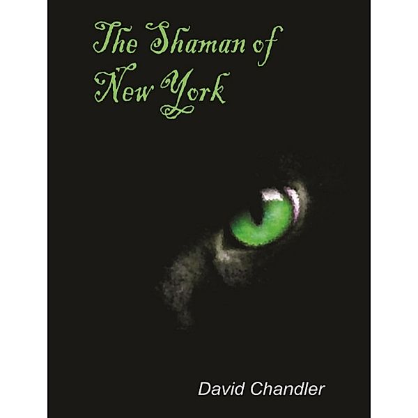 The Shaman of New York, David Chandler