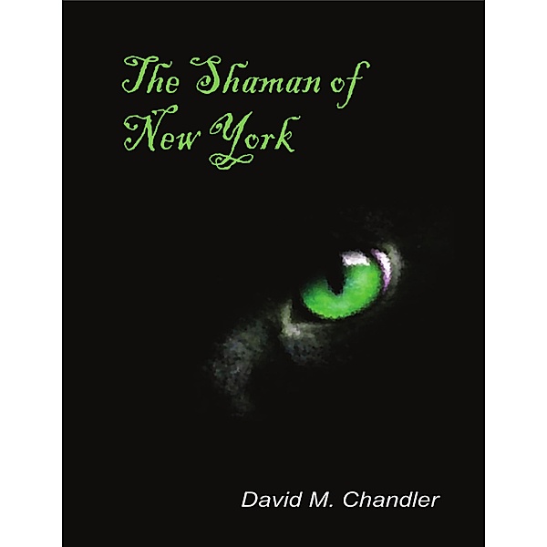 The Shaman of New York, David Chandler