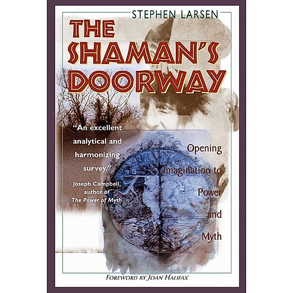 The Shaman's Doorway / Inner Traditions, Stephen Larsen