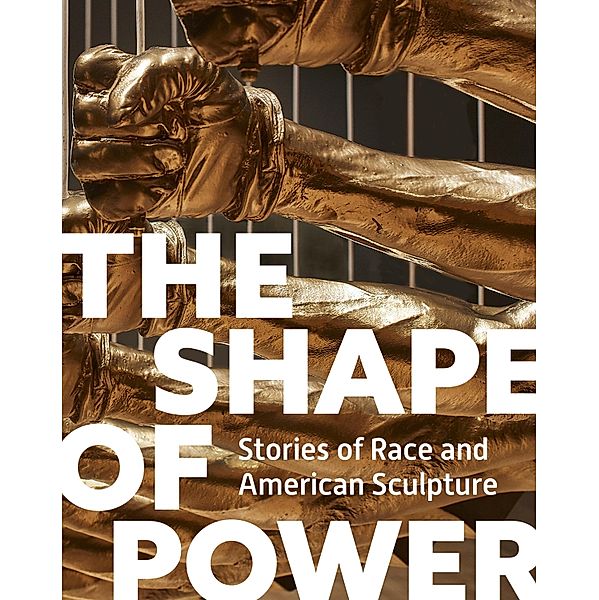 The Shape of Power, Karen Lemmey, Tobias Wofford, Grace Yasumura