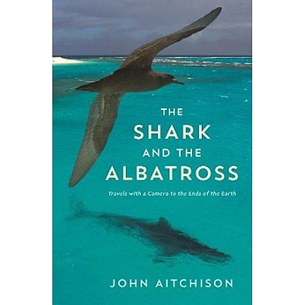 The Shark and the Albatross, John Aitchison