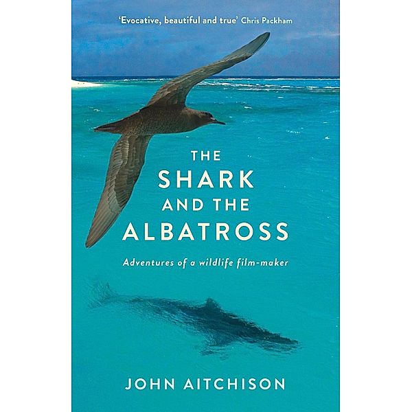 The Shark and the Albatross, John Aitchison