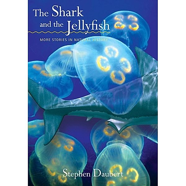 The Shark and the Jellyfish, Stephen Daubert