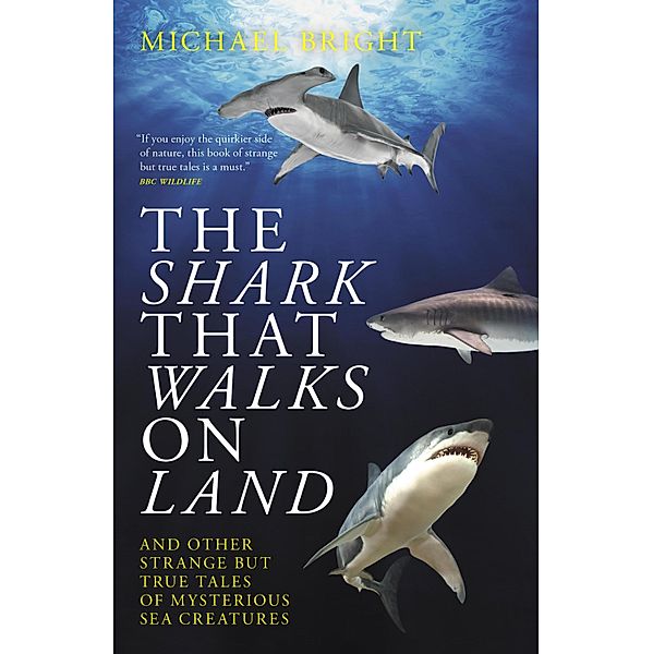 The Shark That Walks On Land, Michael Bright