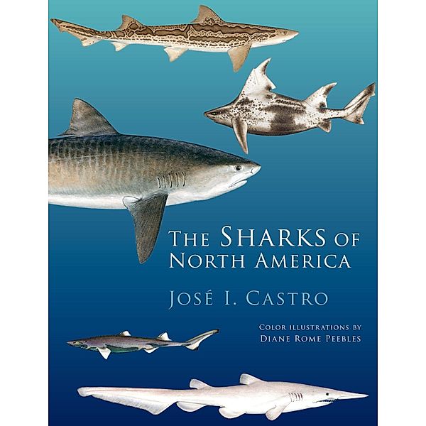 The Sharks of North America, Jose I. Castro