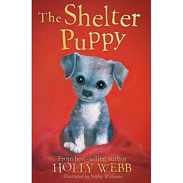 The Shelter Puppy / Holly Webb Animal Stories Bd.40, Holly Webb
