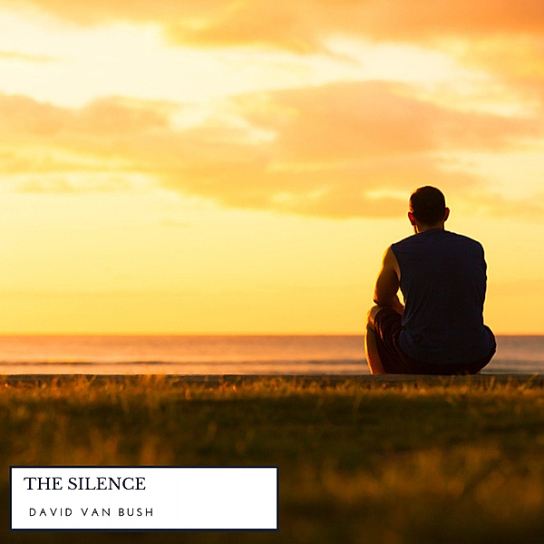 The Silence: What It Is, How To Use It, David Van Bush