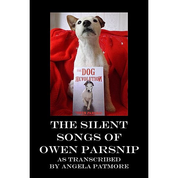 The Silent Songs Of Owen Parsnip, Angela Patmore