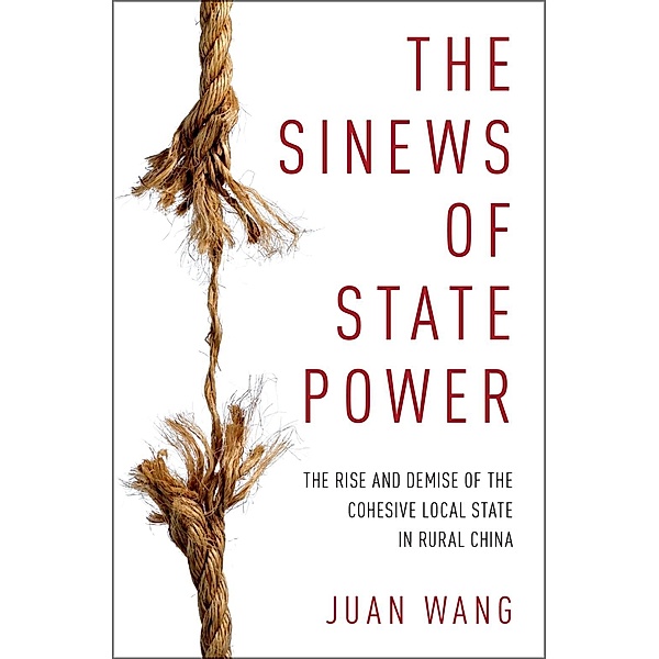 The Sinews of State Power, Juan Wang