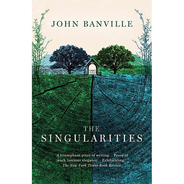 The Singularities, John Banville
