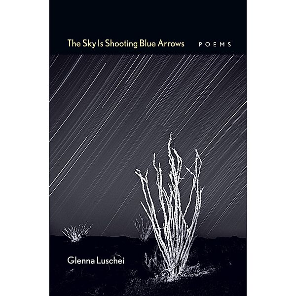 The Sky Is Shooting Blue Arrows / Mary Burritt Christiansen Poetry Series, Glenna Luschei