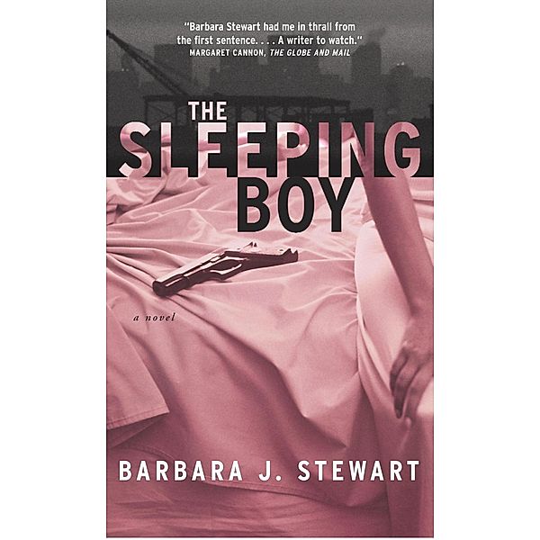 The Sleeping Boy, Barbara J. Stewart