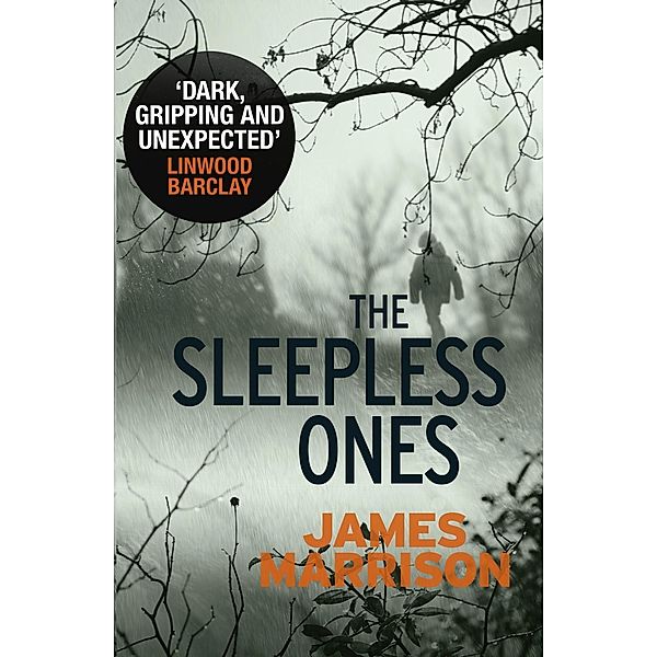The Sleepless Ones / Guillermo Downes Thriller Bd.3, James Marrison