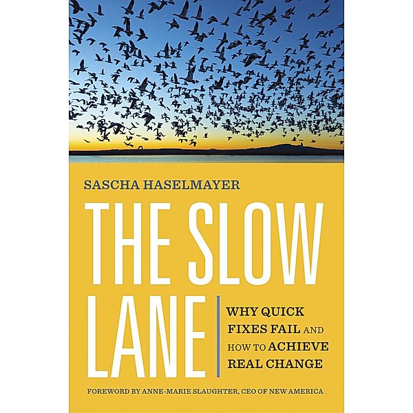 The Slow Lane, Sascha Haselmayer