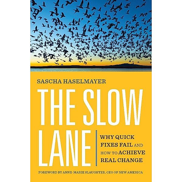 The Slow Lane, Sascha Haselmayer