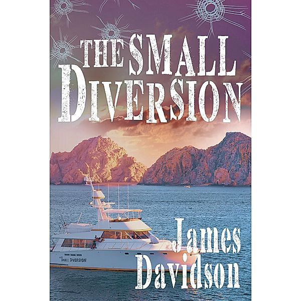 The Small Diversion / Newman Springs Publishing, Inc., James Davidson