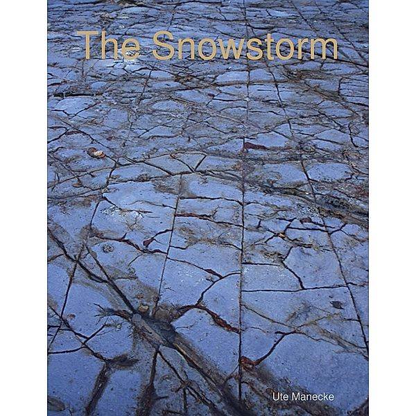 The Snowstorm, Ute Manecke