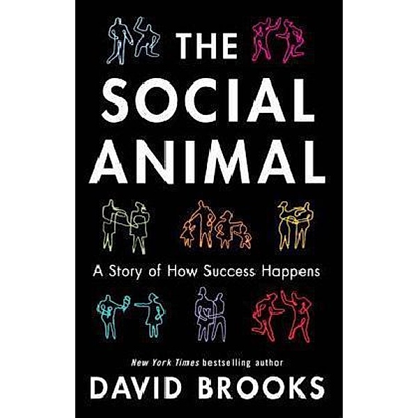 The Social Animal, David Brooks