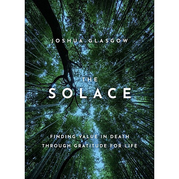 The Solace, Joshua Glasgow
