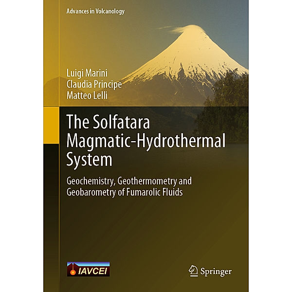 The Solfatara Magmatic-Hydrothermal System, Luigi Marini, Claudia Principe, Matteo Lelli