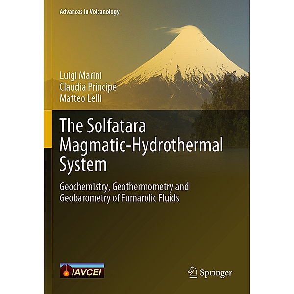 The Solfatara Magmatic-Hydrothermal System, Luigi Marini, Claudia Principe, Matteo Lelli