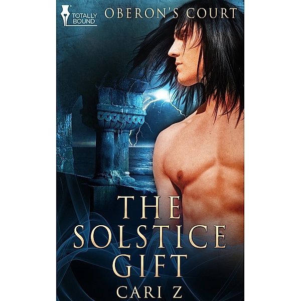 The Solstice Gift / Totally Bound Publishing, Cari Z