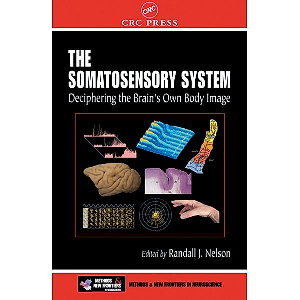 The Somatosensory System