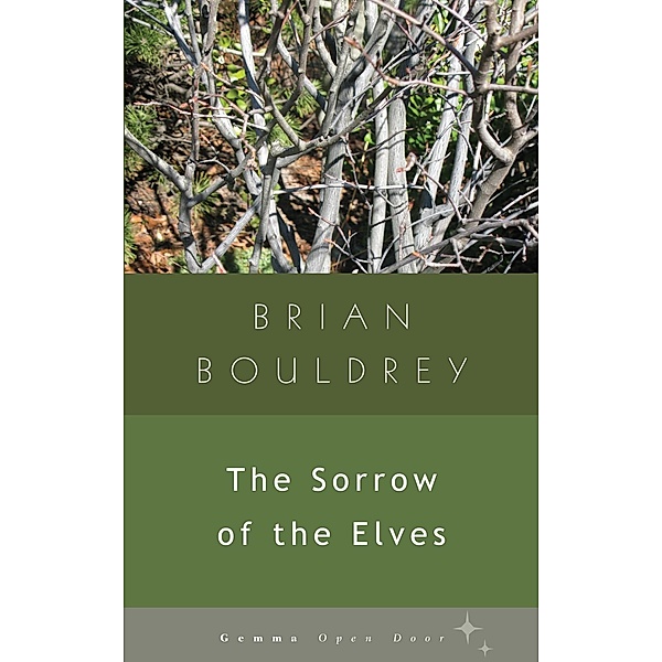 The Sorrow of Elves / Open Door, Brian Bouldrey