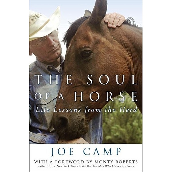 The Soul of a Horse, Joe Camp