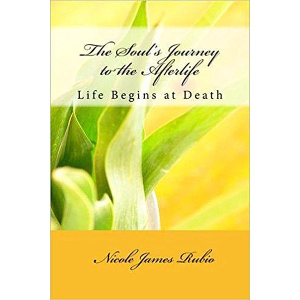 The Soul's Journey to the Afterlife, Nicole James Rubio