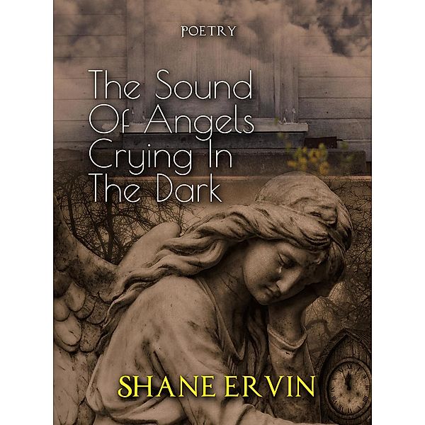 The Sound Of Angels Crying In The Dark, Shane Ervin