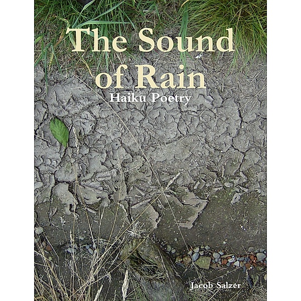 The Sound of Rain, Jacob Salzer