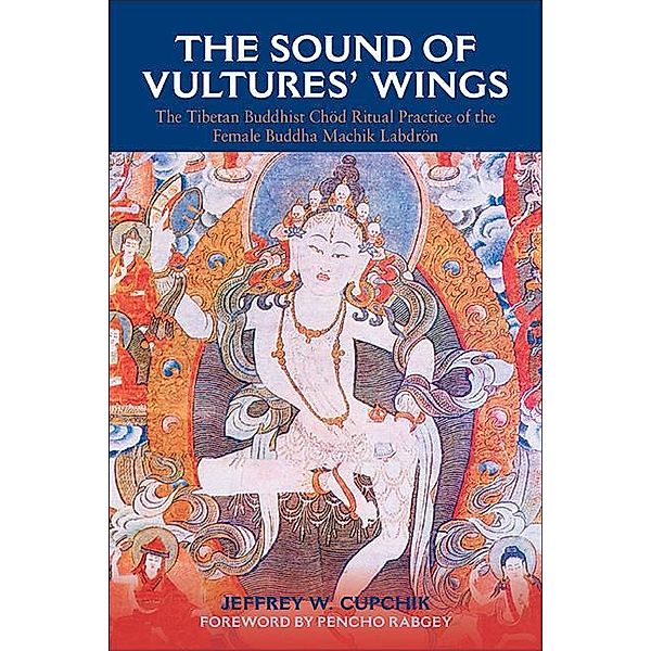 The Sound of Vultures' Wings / SUNY series in Religious Studies, Jeffrey W. Cupchik