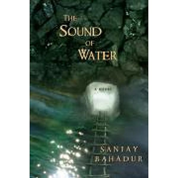 The Sound of Water, Sanjay Bahadur