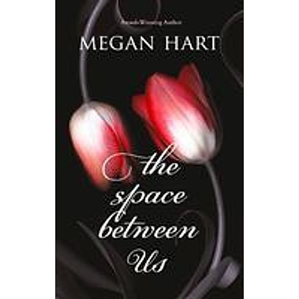 The Space Between Us, Megan Hart