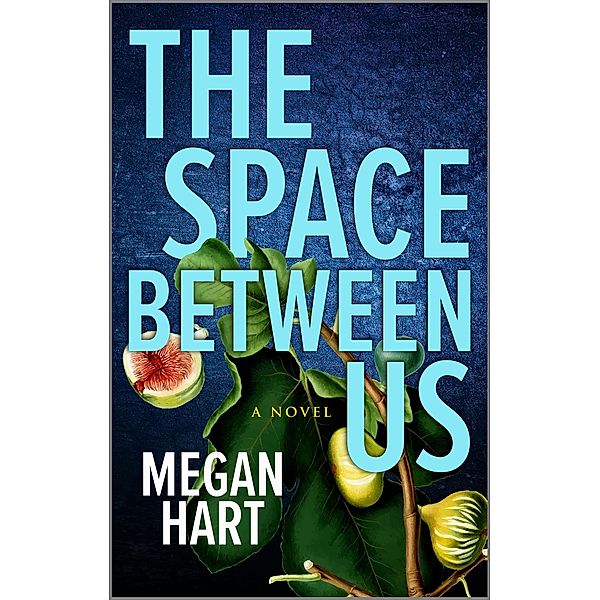 The Space Between Us, Megan Hart