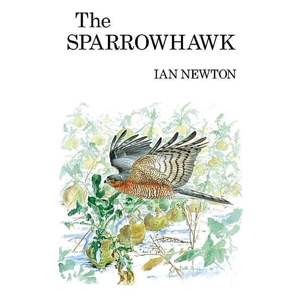 The Sparrowhawk, Ian Newton