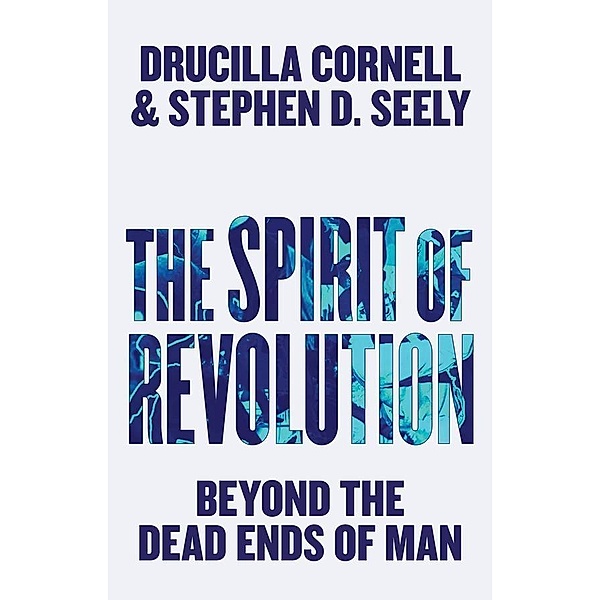The Spirit of Revolution, Drucilla Cornell, Stephen D. Seely