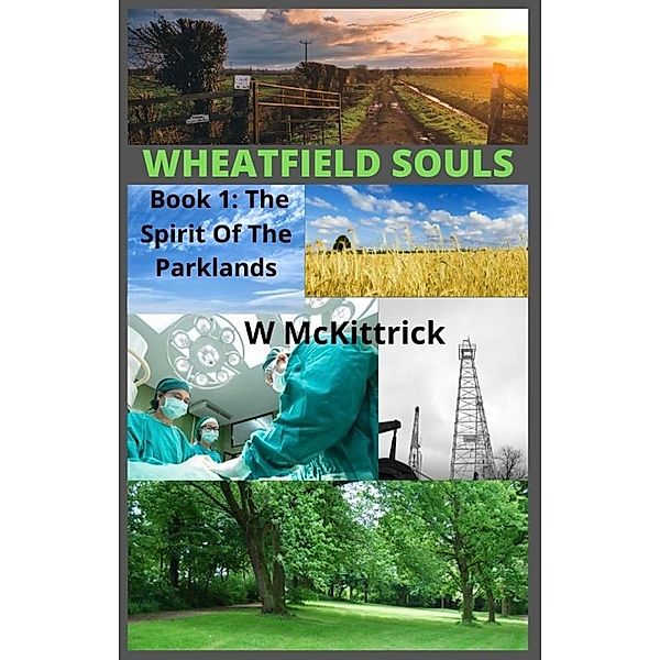 The Spirit of The Parklands (WHEATFIELD SOULS, #1) / WHEATFIELD SOULS, W. McKittrick