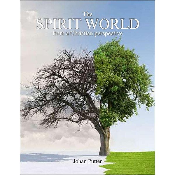 The Spirit World from a Christian Perspective, Johan Putter