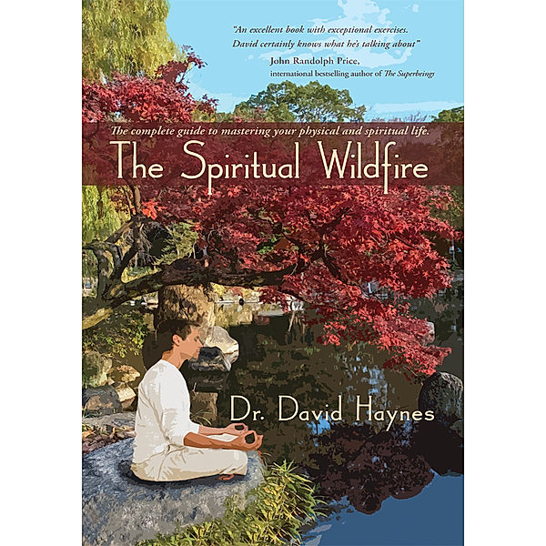 The Spiritual Wildfire, David Haynes