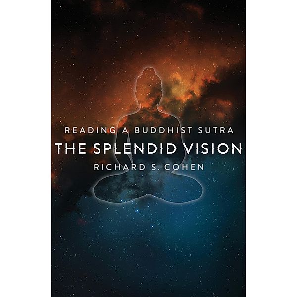 The Splendid Vision, Richard Cohen