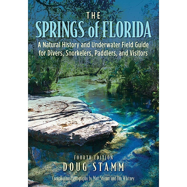 The Springs of Florida, Doug Stamm