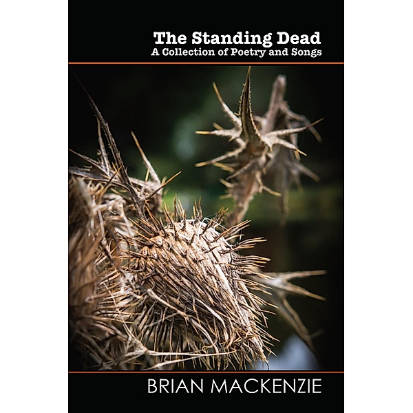 The Standing Dead (Wordcatcher Modern Poetry) / Wordcatcher Modern Poetry, Brian MacKenzie
