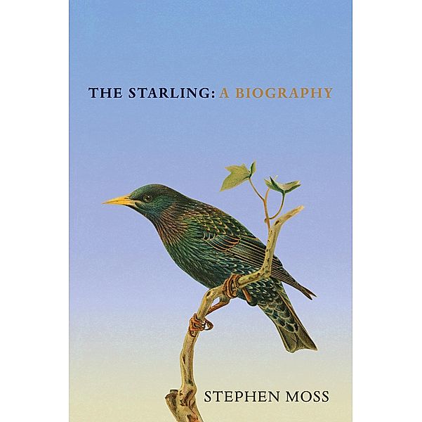 The Starling, Stephen Moss