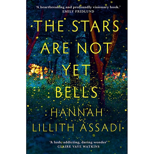 The Stars Are Not Yet Bells, Hannah Lillith Assadi