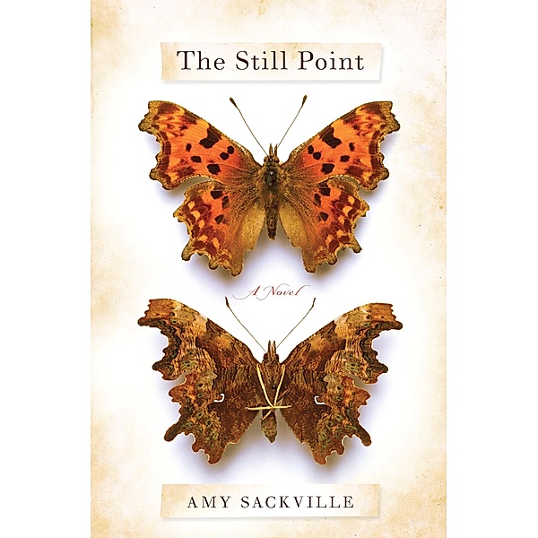 The Still Point, Amy Sackville
