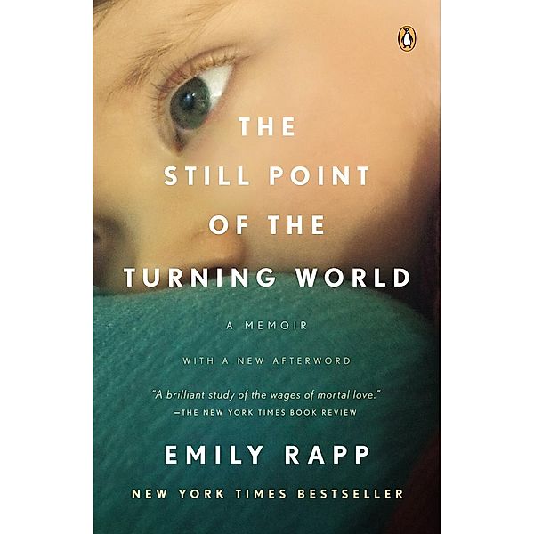 The Still Point of the Turning World, Emily Rapp Black