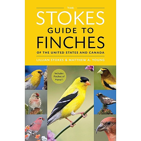 The Stokes Guide to Finches of the United States and Canada, Lillian Q. Stokes, Matthew A. Young