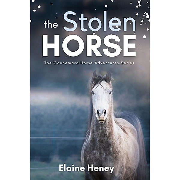 The Stolen Horse - Book 4 in the Connemara Horse Adventure Series for Kids (Connemara Horse Adventures, #4) / Connemara Horse Adventures, Elaine Heney